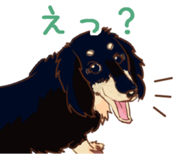 Everyday conversation of miniature dachs sticker #15575083