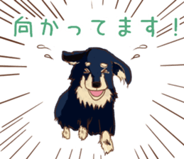 Everyday conversation of miniature dachs sticker #15575084