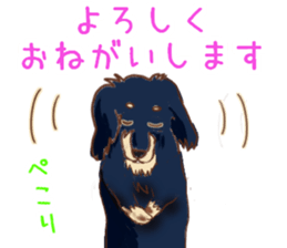 Everyday conversation of miniature dachs sticker #15575088