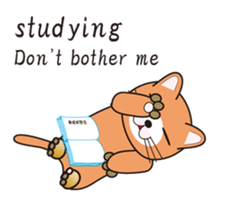 500 cats 3-432e-1 sticker #15575594