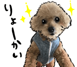 wanchan sticker1 sticker #15577980