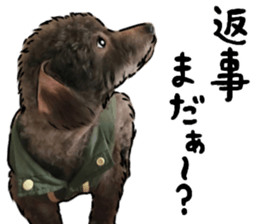 wanchan sticker1 sticker #15577982