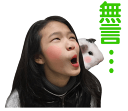 Anna's map sticker #15578008