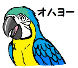 Animals around the World 2 sticker #15578010