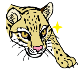 Animals around the World 2 sticker #15578011