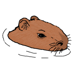 Animals around the World 2 sticker #15578016