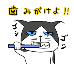 Cat with a hat 5 sticker #15578857