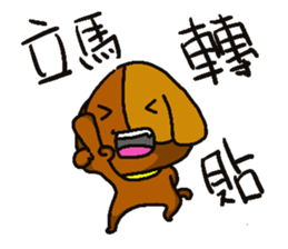 Little Kachie sticker #15581283