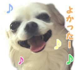 Melolemon sticker #15582426