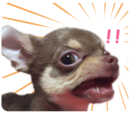 Melolemon sticker #15582427