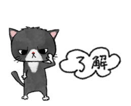 A moving cats and a bear sticker #15582445