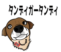 Amusing friends in Miyakojima 589 sticker #15583464