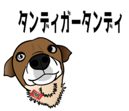 Amusing friends in Miyakojima 589 sticker #15583464