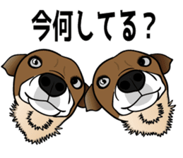 Amusing friends in Miyakojima 589 sticker #15583467