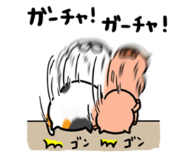 Game everyday tortoiseshell cat and pig3 sticker #15586762