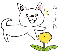 Daily supring of white Chihuahua sticker #15588374