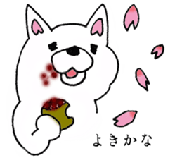 Daily supring of white Chihuahua sticker #15588378