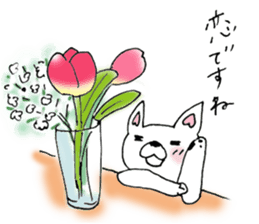 Daily supring of white Chihuahua sticker #15588379