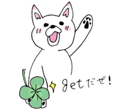Daily supring of white Chihuahua sticker #15588388