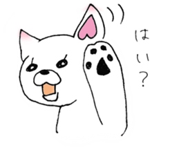 Daily supring of white Chihuahua sticker #15588392