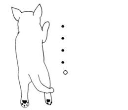 Daily supring of white Chihuahua sticker #15588396
