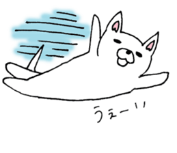 Daily supring of white Chihuahua sticker #15588402