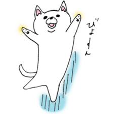Daily supring of white Chihuahua sticker #15588403
