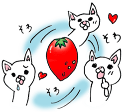 Daily supring of white Chihuahua sticker #15588406