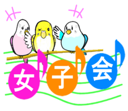 Greetings with notes Sometimes parakeet sticker #15588459