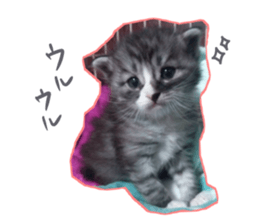 Ato&Saki sticker #15588762