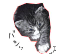 Ato&Saki sticker #15588763