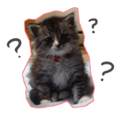 Ato&Saki sticker #15588764