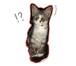 Ato&Saki sticker #15588765