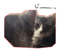 Ato&Saki sticker #15588767