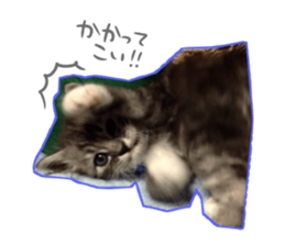 Ato&Saki sticker #15588770