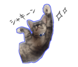 Ato&Saki sticker #15588773