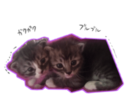 Ato&Saki sticker #15588776