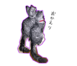 Ato&Saki sticker #15588777