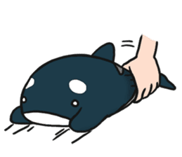 Steph's Life (Orca Doll) sticker #15591214