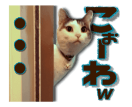 Cat of Roux.<<calico>> sticker #15591344