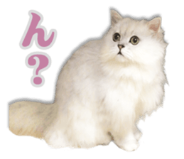 Cutie fluffy cat 2 sticker #15593152
