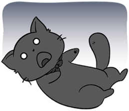 Chao Guay the Munchkin Cat 2 sticker #15593291