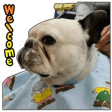 BOSS FAMILLY!! sticker #15595498