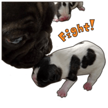 BOSS FAMILLY!! sticker #15595499