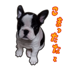 BOSS FAMILLY!! sticker #15595501