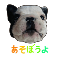 BOSS FAMILLY!! sticker #15595502