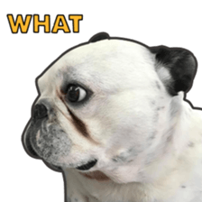 BOSS FAMILLY!! sticker #15595505