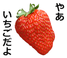 Strawberry! sticker #15596098