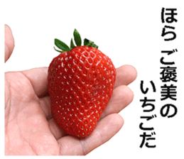 Strawberry! sticker #15596102