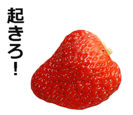 Strawberry! sticker #15596116